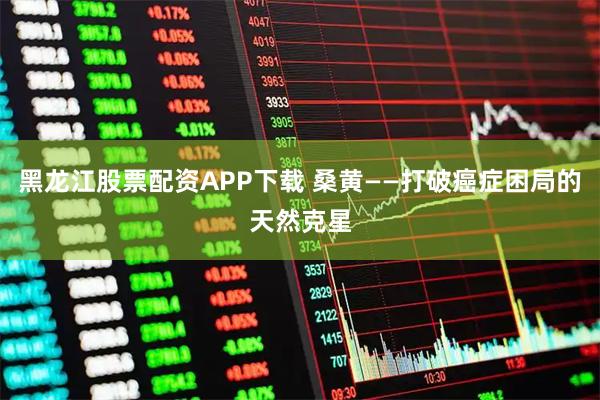 黑龙江股票配资APP下载 桑黄——打破癌症困局的天然克星