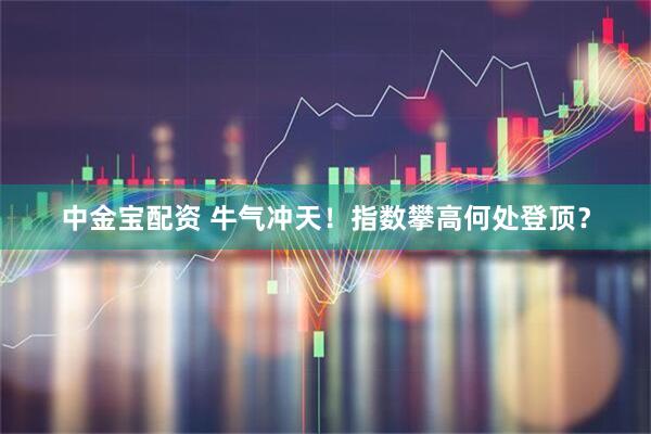 中金宝配资 牛气冲天！指数攀高何处登顶？