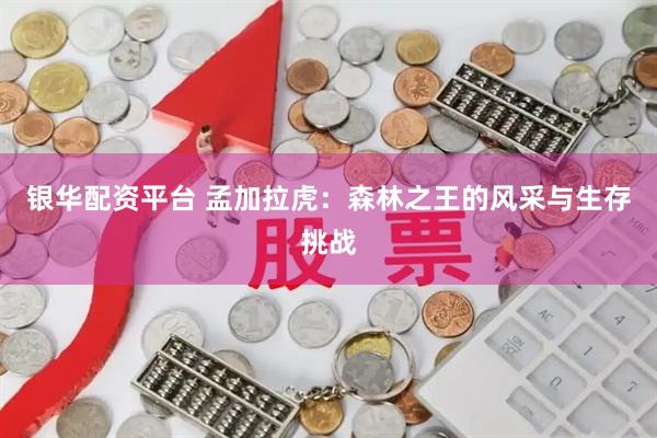 银华配资平台 孟加拉虎：森林之王的风采与生存挑战