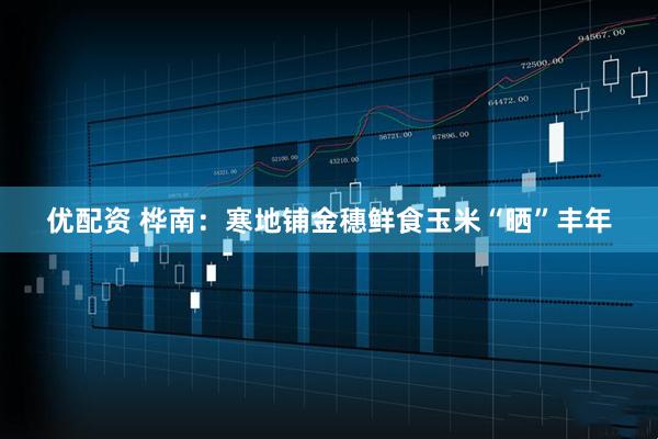 优配资 桦南：寒地铺金穗鲜食玉米“晒”丰年