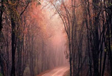 证券开户佣金最低排名:股票配资十大平台-大幅加仓 连续14周净买入！资金涌向这些股 芯片龙头成交居首